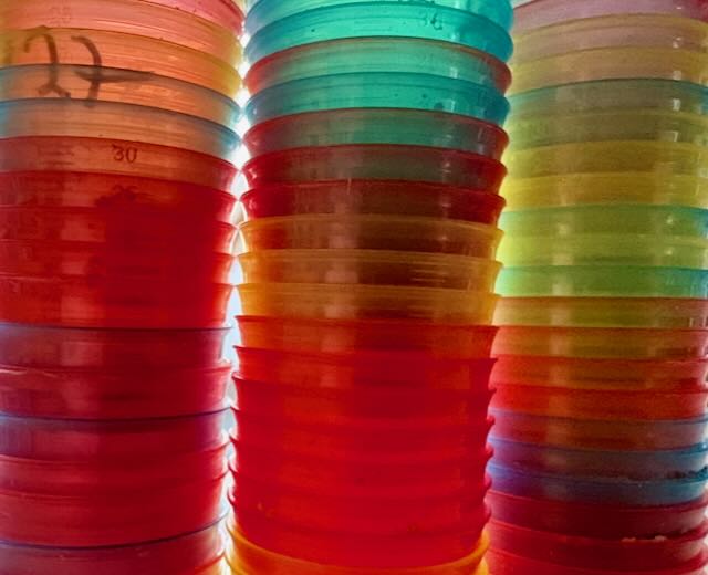 Der Tag, an dem mein Herz stillstand - Teil 1 