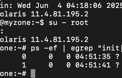Solaris 11.4 SRU 81: Virtual PID for init and zshed